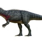 30 curiosità su Lourinhanosaurus